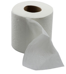 Toilet Tissue Paper manufacturer
