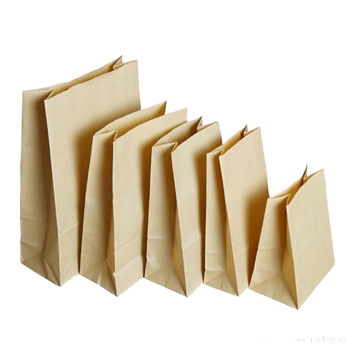 Paper bags manufacturer